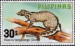 フィリピンの切手のジャコウネコ
